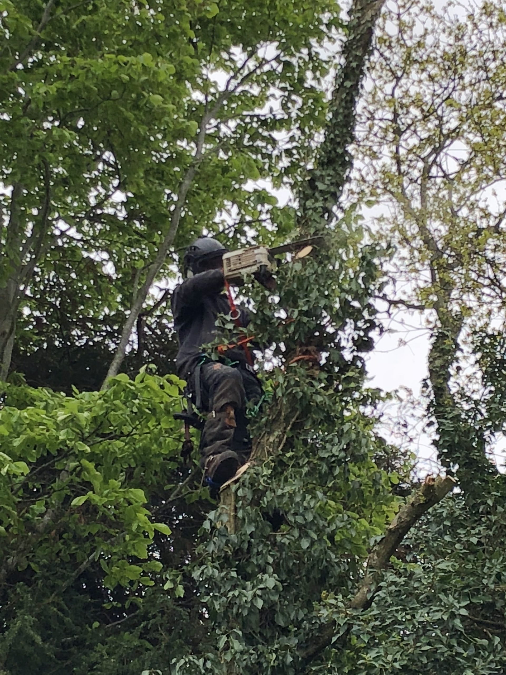 Training through real experience